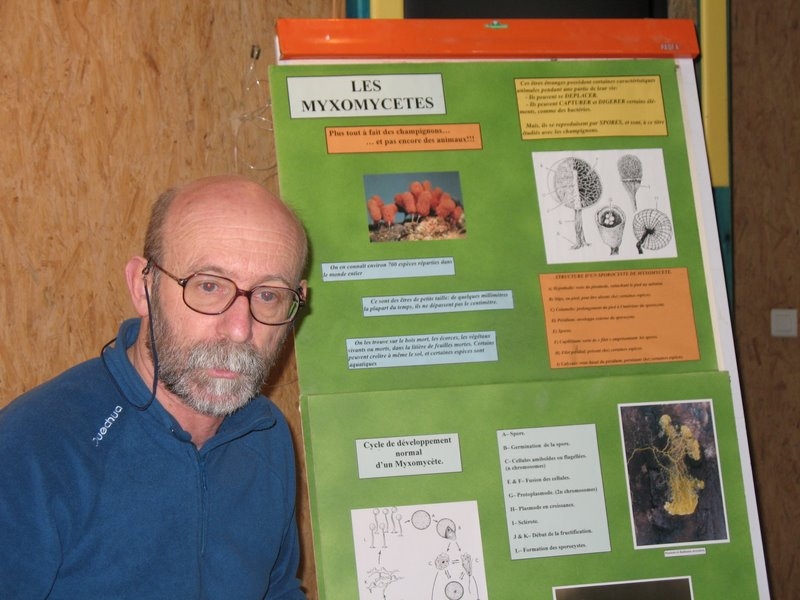 2008 03  Atelier myxomycètes 02